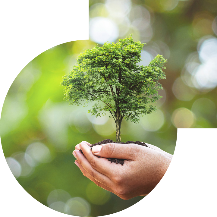 关怀人类、文化、环境与社会